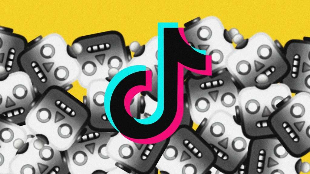 1597173479225-8102020allmytiktokfollowersarefakecv-1