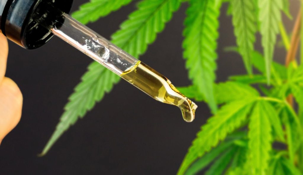eyedropper-with-cannabis-cbd-thc-oil-2023-11-27-05-29-49-utc